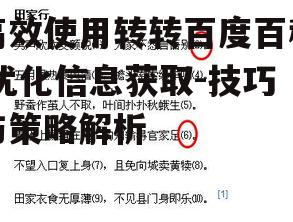 高效使用转转百度百科,优化信息获取-技巧与策略解析