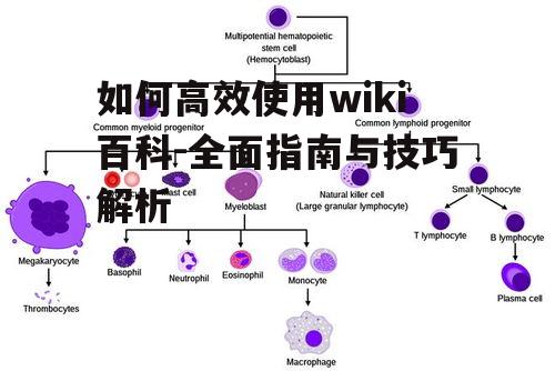 如何高效使用wiki百科-全面指南与技巧解析