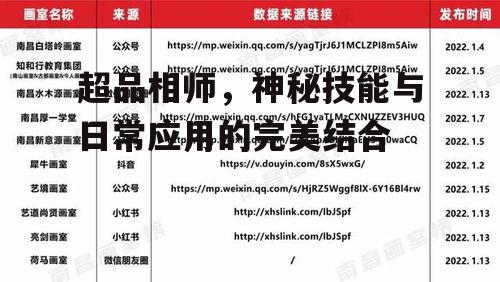超品相师，神秘技能与日常应用的完美结合