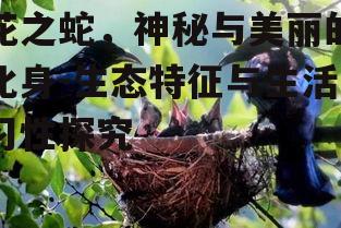 三、花之蛇的栖息地与保护现状