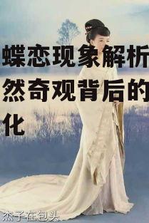 飞火蝶恋现象解析-探索自然奇观背后的科学与文化