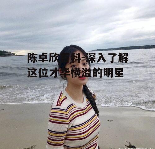 四、陈卓欣的音乐之路