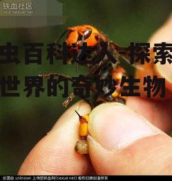 二、昆虫的生活习性