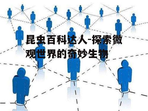 三、昆虫与人类的关系