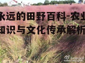 永远的田野百科-农业知识与文化传承解析