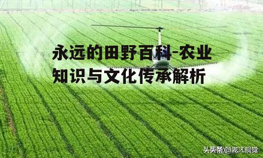 三、现代农田管理技术