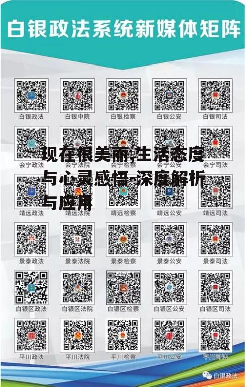 现在很美丽,生活态度与心灵感悟-深度解析与应用