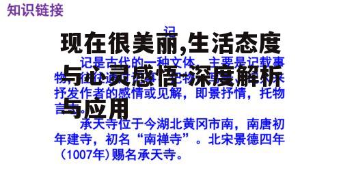 二、现在很美丽在心理学中的应用
