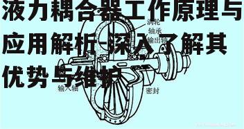 液力耦合器工作原理与应用解析-深入了解其优势与维护