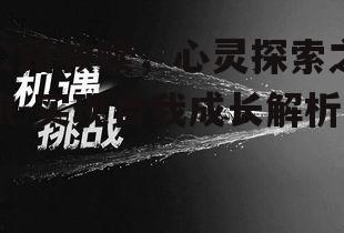 三、公路救赎中的挑战与机遇