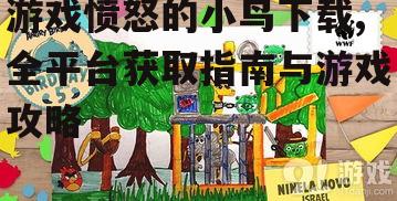 游戏愤怒的小鸟下载,全平台获取指南与游戏攻略