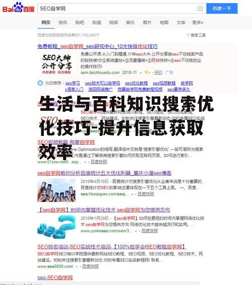 生活与百科知识搜索优化技巧-提升信息获取效率