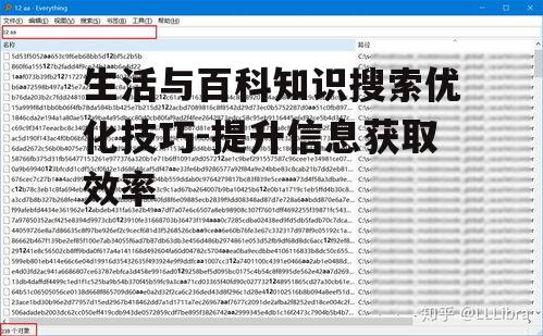 三、利用高级搜索技巧
