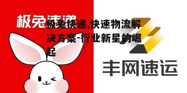 极兔快递,快速物流解决方案-行业新星的崛起