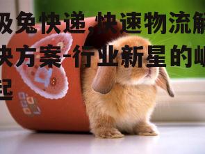 二、极兔快递的服务特点