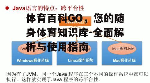 体育百科GO，您的随身体育知识库-全面解析与使用指南