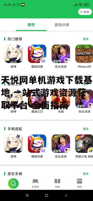 游戏分类与资源丰富度