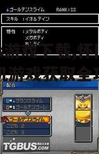 nds游戏下载所需设备与软件准备