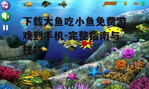 大鱼吃小鱼游戏的系统要求与兼容性