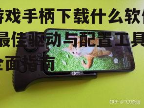 手机游戏手柄支持应用