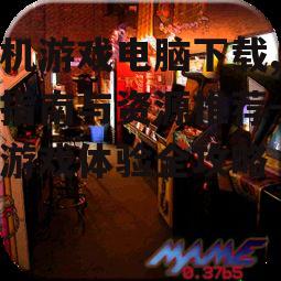 选择合适的街机游戏模拟器