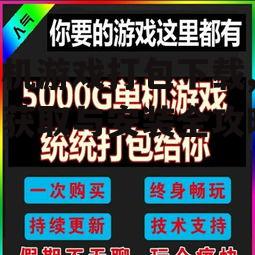 单机游戏打包下载,安全获取与安装全攻略