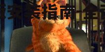 加菲猫游戏下载前的系统要求检查