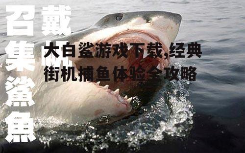 大白鲨游戏特点与玩法解析