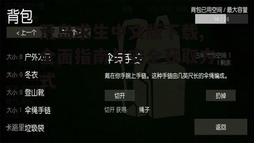 荒岛求生游戏中文版下载的系统要求与设备兼容性