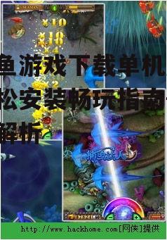打鱼游戏下载单机版,轻松安装畅玩指南-全面解析